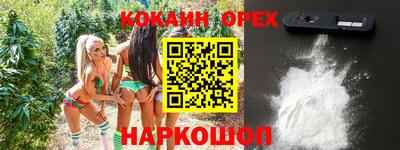 ГАЛЛЮЦИНОГЕННЫЕ ГРИБЫ Новозыбков