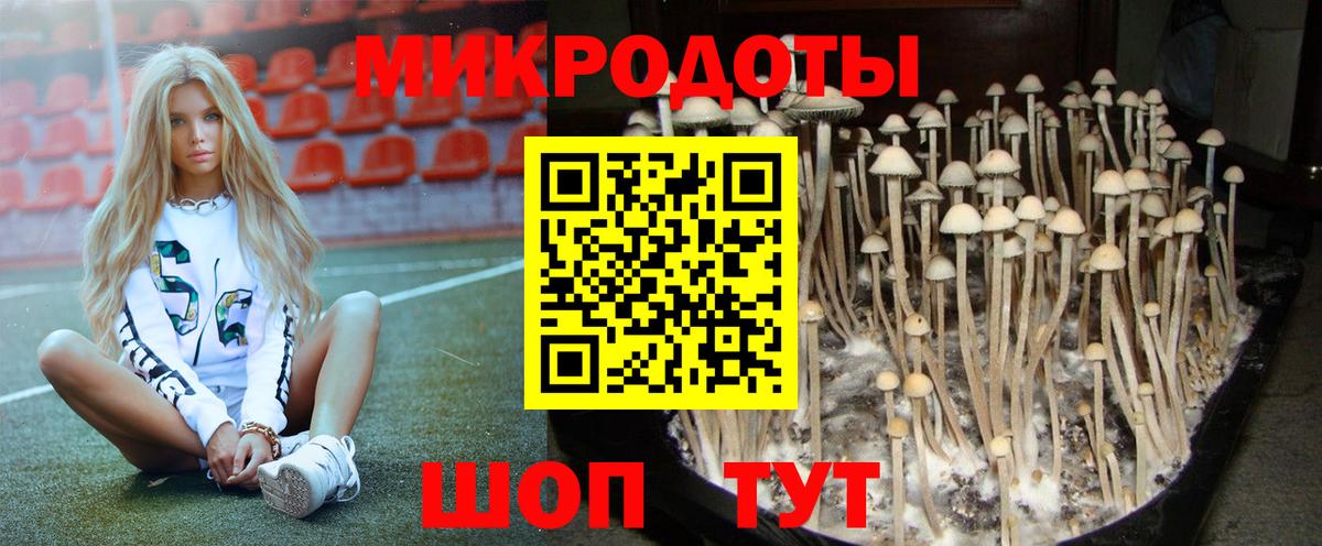 как найти   Вход с VPN  Южно-Сахалинск  Галлюциногенные грибы Magic Shrooms 